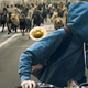 Image for article titled White God is a mongrel of a dog movie, madly mixing genres and tones